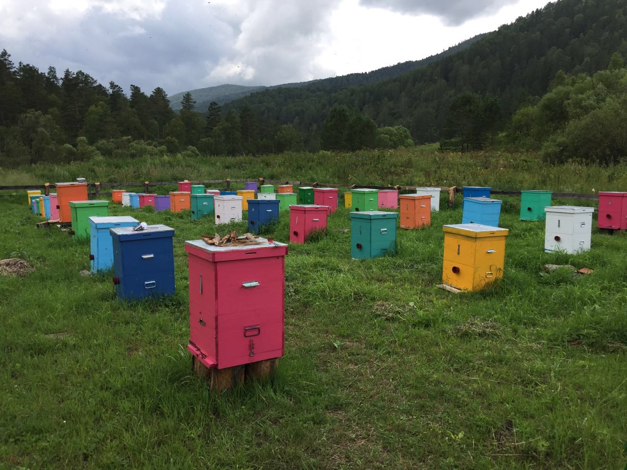 Магазин Пчеловодства В Краснодаре